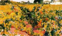 Joaquin Sorolla y Bastida - Study of Vineyard
